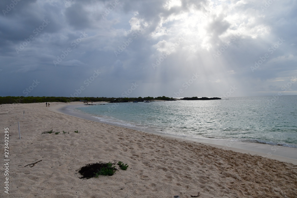 Obraz premium PLAYA BACHAS, ISLAS GALAPAGOS