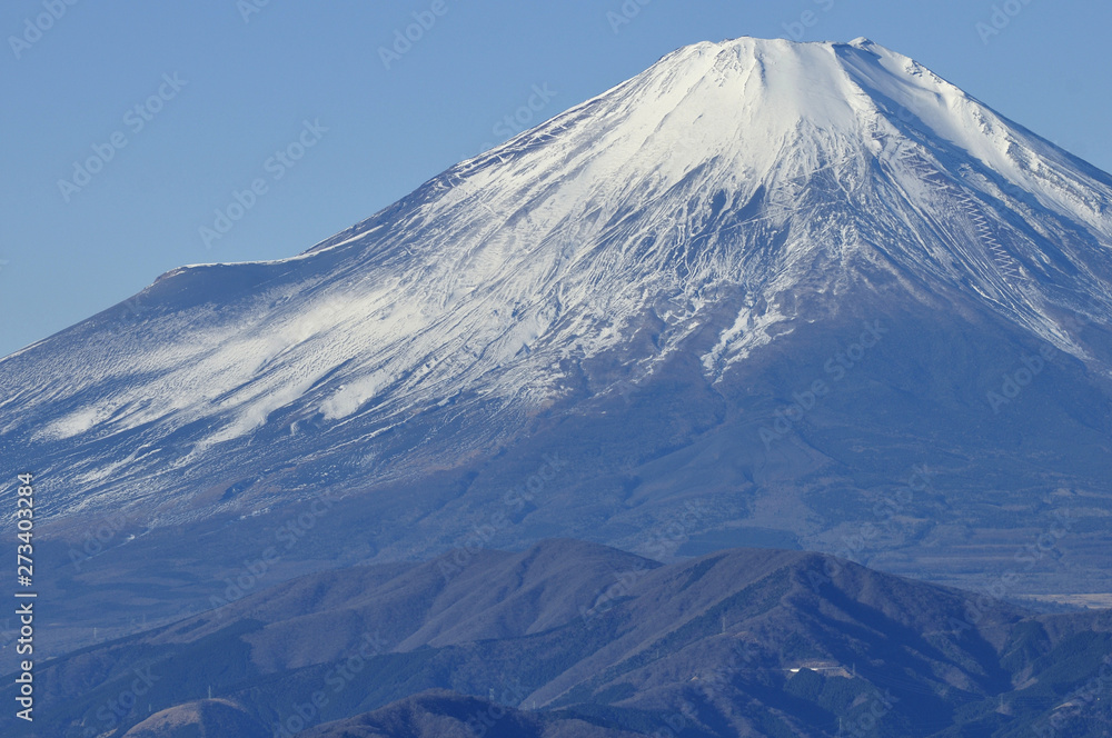 富士山を望む