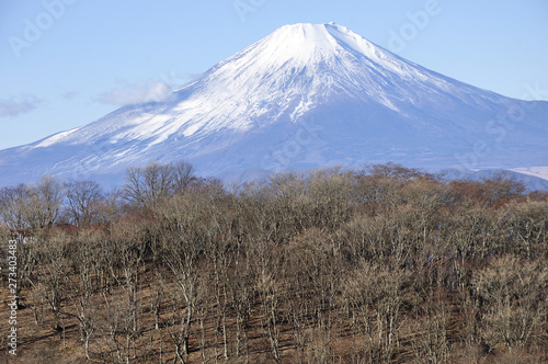 富士山の眺望に鍋割山