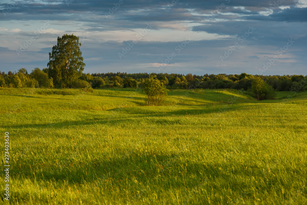 Fototapeta premium Dramatic sunset on the summer field.
