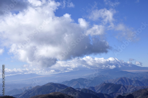 Fototapeta Naklejka Na Ścianę i Meble -  塔ノ岳より雲つづく富士山