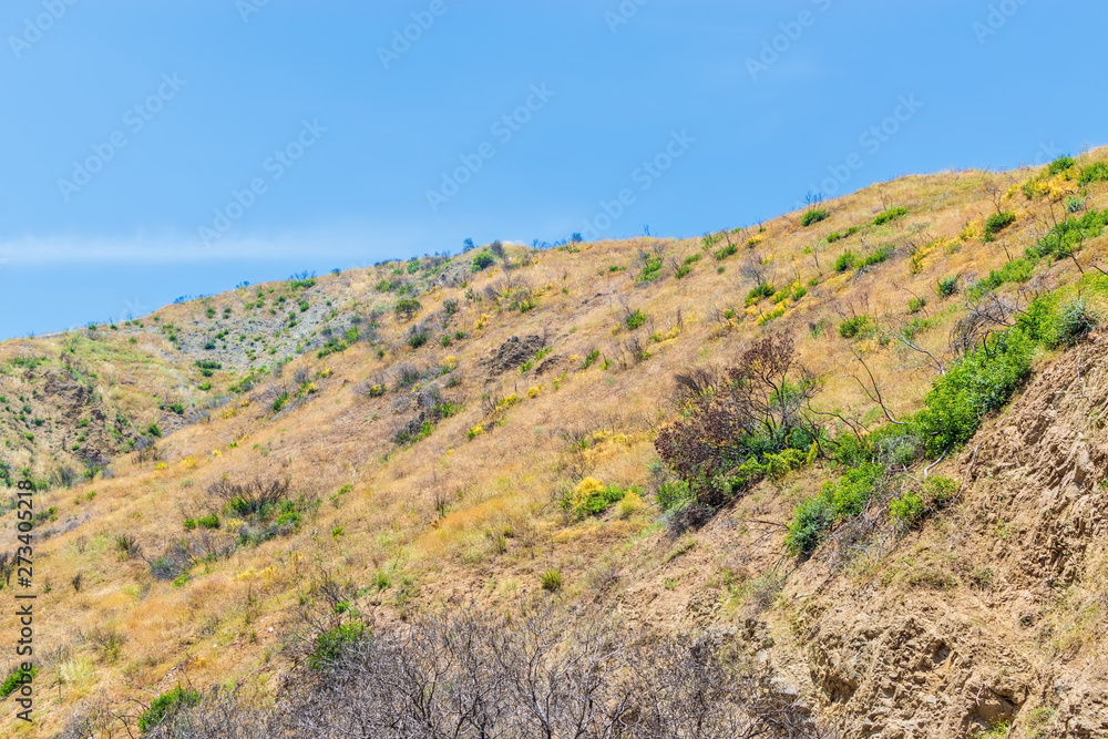 dry fire damaged landscape with mountains and blue sky dry fire damaged landscape with mountains and blue sky