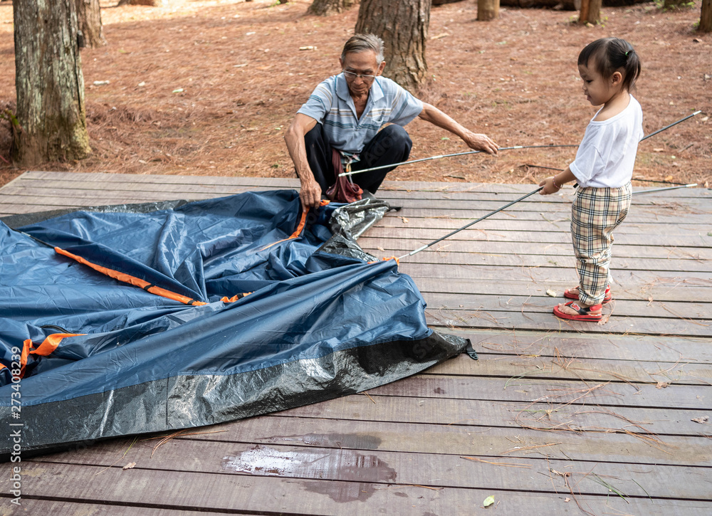 Asian grandfather and little child girl are helping to set up a tent at camping spot in a pine forest.