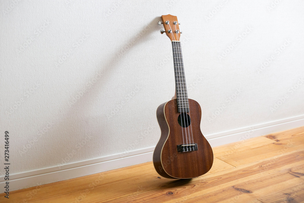 Fototapeta premium 室内のウクレレ、大人の趣味