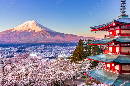 【山梨県】新倉山浅間公園から富士山と桜