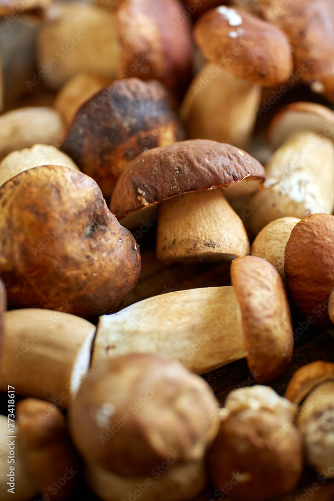Bolete mushrooms ready to cook Bolete mushrooms ready to cook