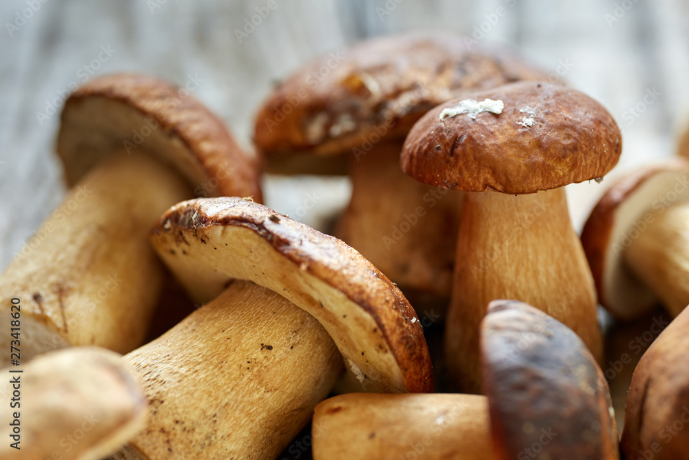 Bolete mushrooms ready to cook Bolete mushrooms ready to cook