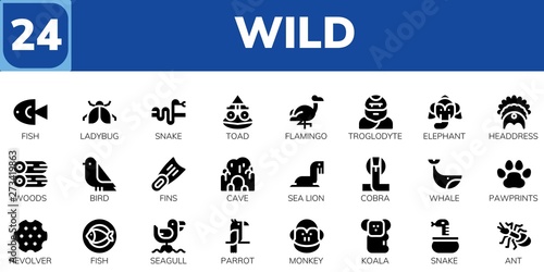 Photography wild icon set