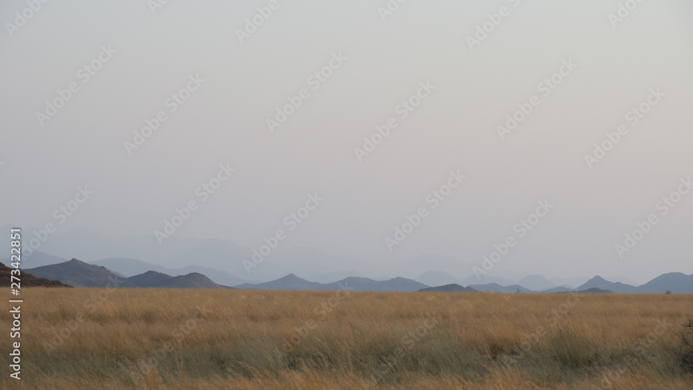 African desert grassy landscape with mountains in the distance. wavy grass. African desert grassy landscape with mountains in the distance. wavy grass.