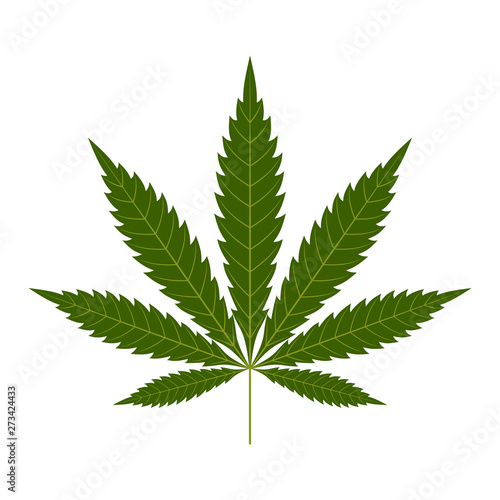 Cannabis leaf icon. Green silhouette indica sativa isolated white background. Herbal medicine herb plant. Natural weed hemp. Addiction smoke drug Illegal narcotic marijuana design Vector illustration