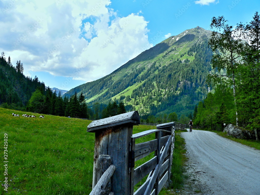 Austrian Alps-through the valley Hinterweisspriachtal