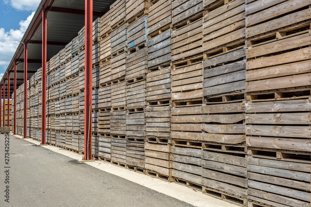 rows of wooden crates boxes and pallets for fruits and vegetables in storage stock. production warehouse. Plant Industry rows of wooden crates boxes and pallets for fruits and vegetables in storage stock. production warehouse. Plant Industry