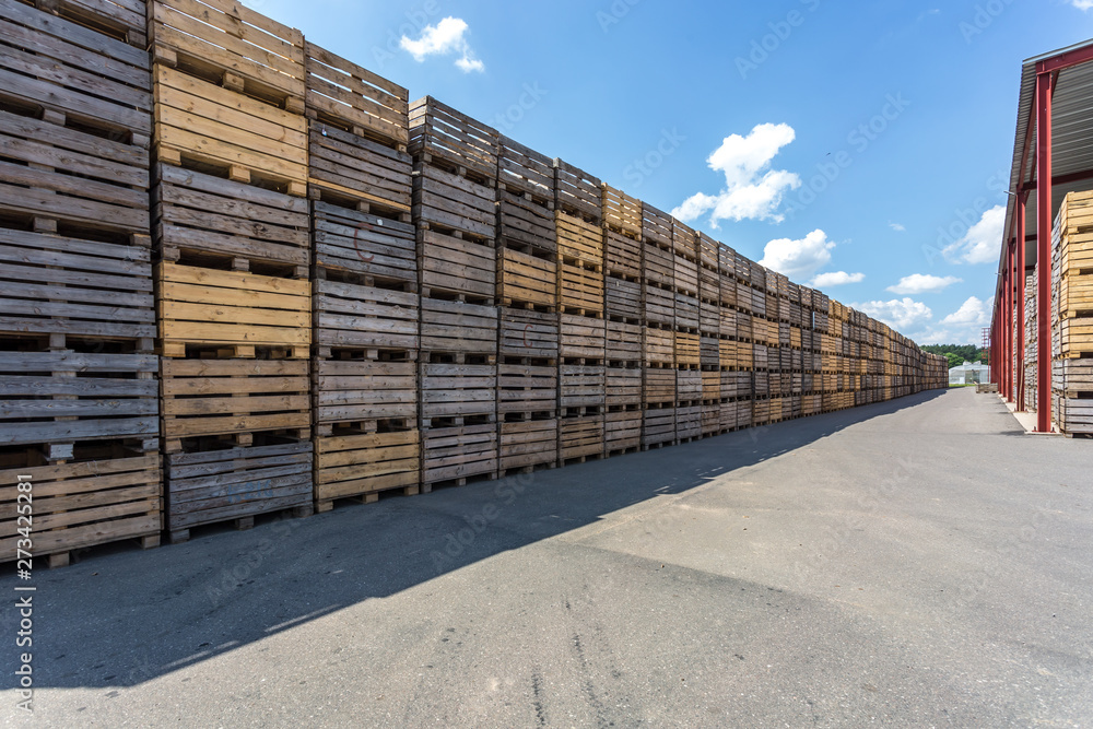 rows of wooden crates boxes and pallets for fruits and vegetables in storage stock. production warehouse. Plant Industry rows of wooden crates boxes and pallets for fruits and vegetables in storage stock. production warehouse. Plant Industry
