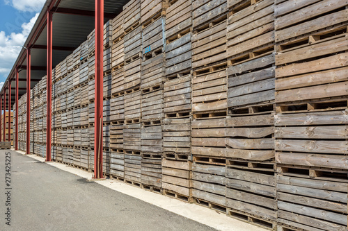 rows of wooden crates boxes and pallets for fruits and vegetables in storage stock. production warehouse. Plant Industry