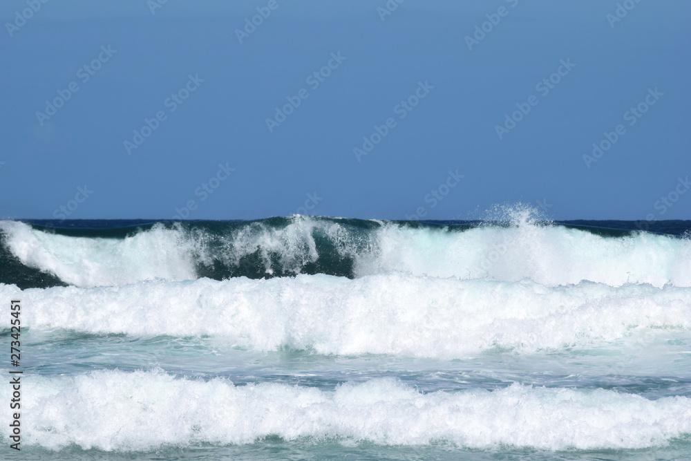  An Amazing Alexandria Bay Noosa National Park