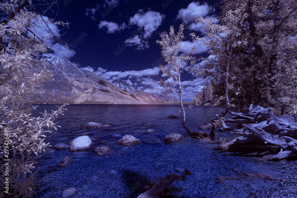 A fresh water lake in Montana, USA taken in Infra Red. A fresh water lake in Montana, USA taken in Infra Red.