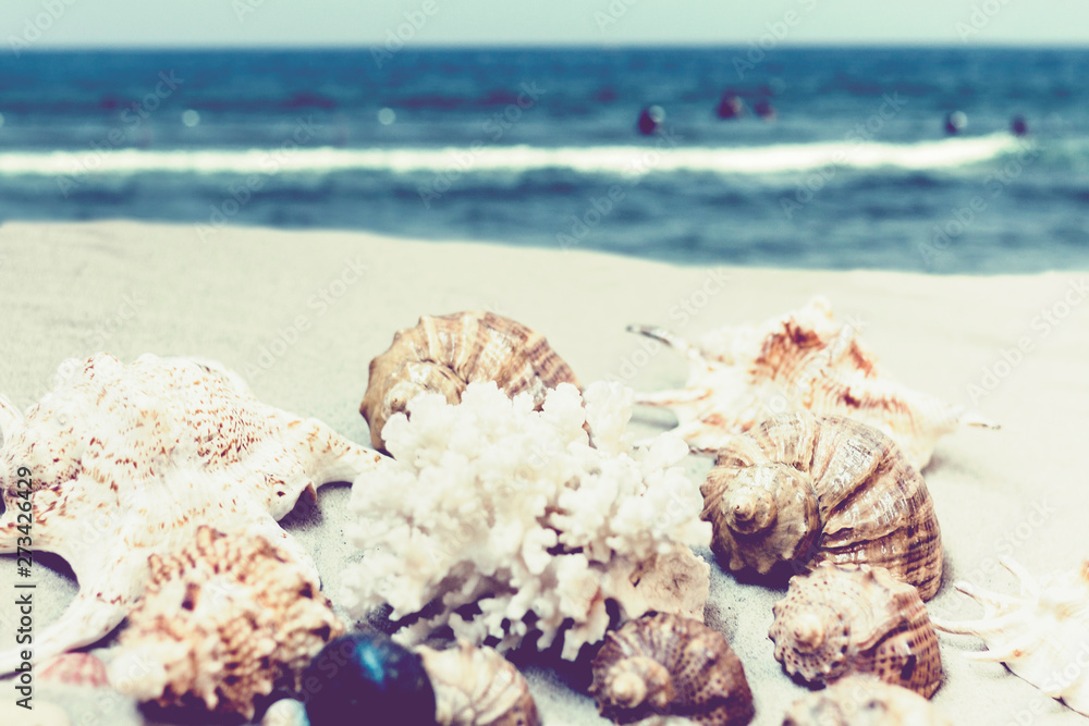 Seashells, stones and sea stars on the sand, summer beach background travel concept with copy space for text. Seashells, stones and sea stars on the sand, summer beach background travel concept with copy space for text.