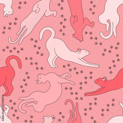 Pink cat pattern with footprints