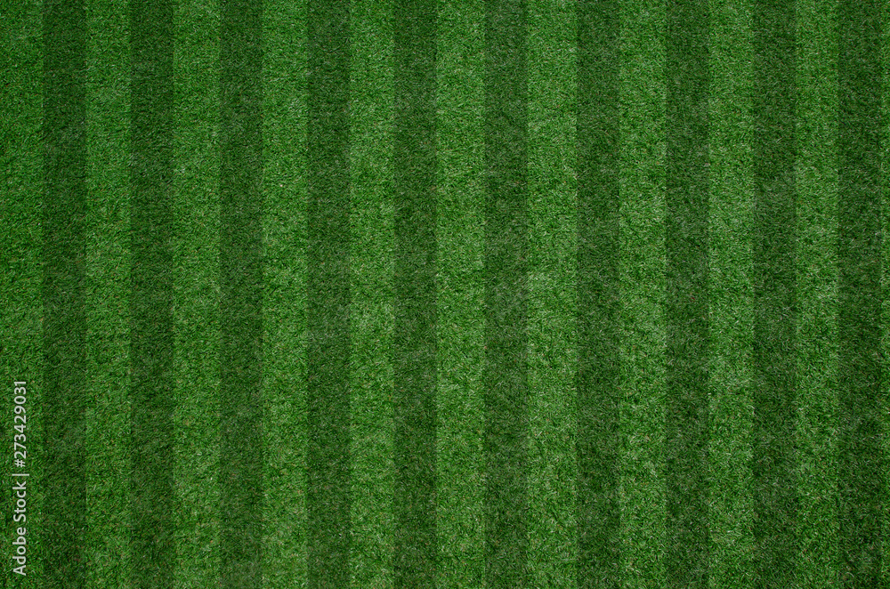 Naklejka closeup fresh green grass texture pattern background for football field