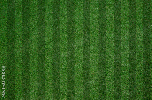 closeup fresh green grass texture pattern background for football field