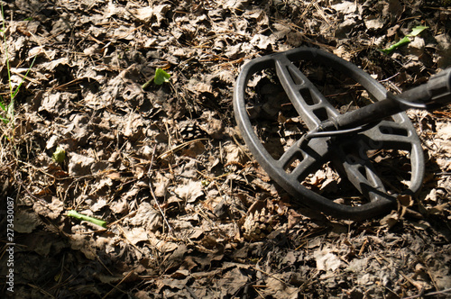coil of metal detector on the background of fallen leaves in the forest.