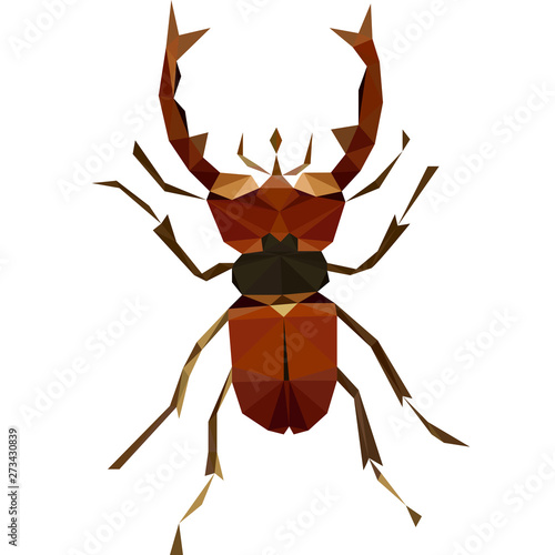 Canvas Print Colorful polygonal illustration of a brown bug, beetle, insect