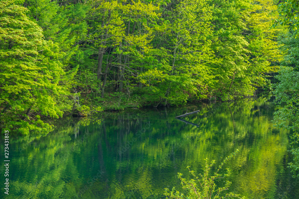 Towada Hachimantai National Park, Hachimantai Towada Hachimantai National Park, Hachimantai