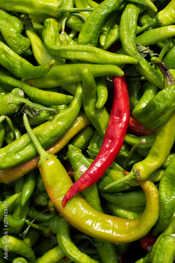 Red chilly pepper and green peppers