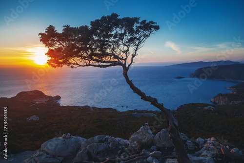 Bright beautiful sunset on the sea, island of Rhodes Mediterranean sea, tree on the mountain