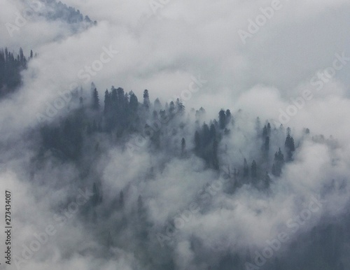 Fog in mountains © Shardul