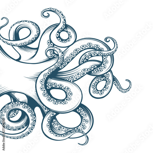 Hand Drawn Octopus Tentacles