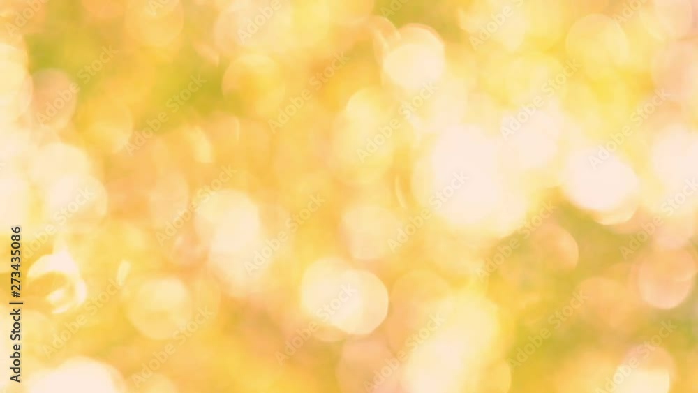Sunlight shining through the leaves of trees, natural blurred background, abstract and nature golden bokeh Sunlight shining through the leaves of trees, natural blurred background, abstract and nature golden bokeh