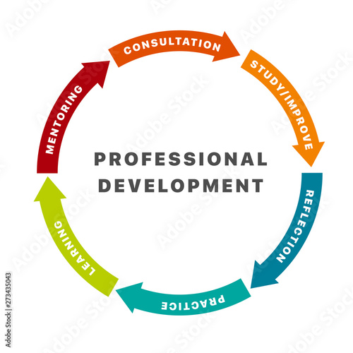 Infographic design elements with six options for professional development. Arrow wheel circle style. Concept of six colorful circular arrows steps in flat style isolated on white background