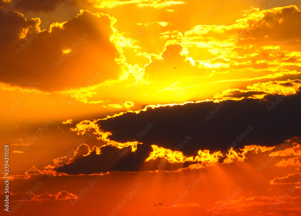 Fototapeta premium Golden sunset over desert scene with clouds