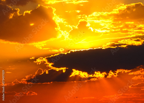 Golden sunset over desert scene with clouds