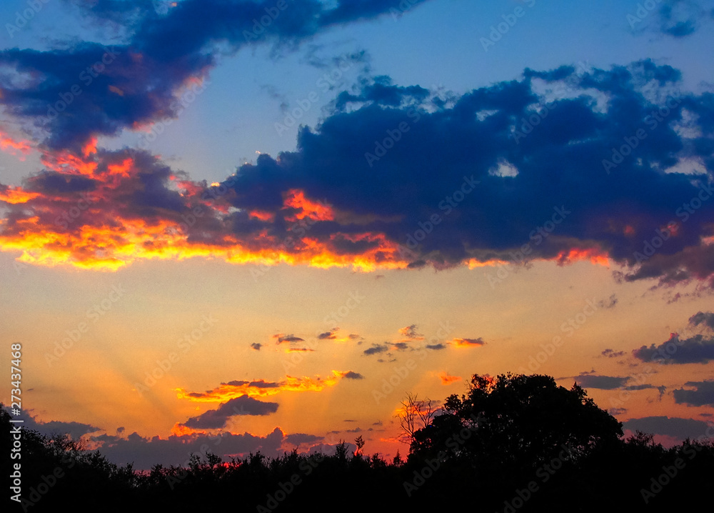 Fototapeta premium Golden brown and purple sunset on the water, Africa dust, golden reflections on water, Out in African feeling