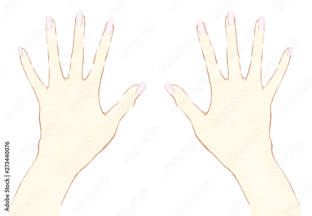 指を広げた両手 手描きタッチの手の甲 Stock イラスト Adobe Stock