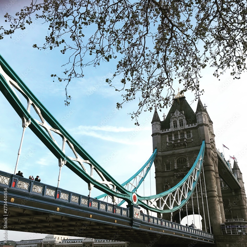 Fototapeta premium tower bridge in london