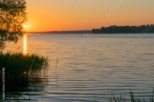Sunrises sunsets on a summer pond in the forest © ANDREI