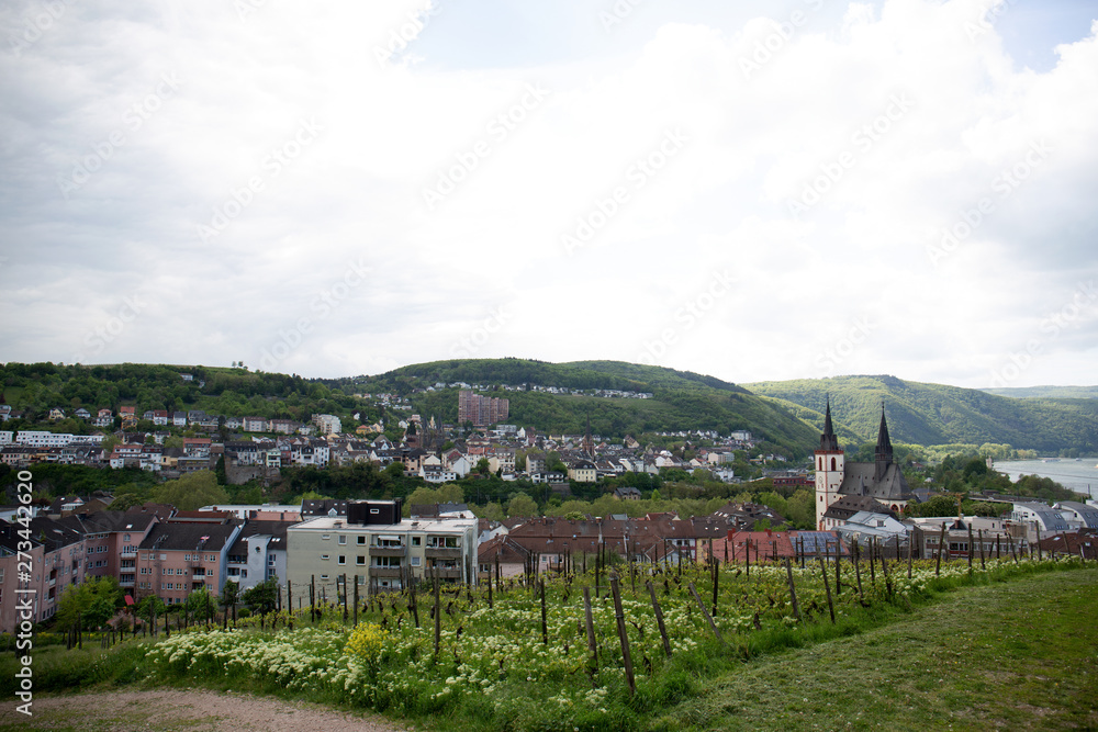 blick auf die landschaft in bingen am rhein hessen deutschland fotografiert während einer sightseeing tour an einem sonnigen bewölkten tag blick auf die landschaft in bingen am rhein hessen deutschland fotografiert während einer sightseeing tour an einem sonnigen bewölkten tag
