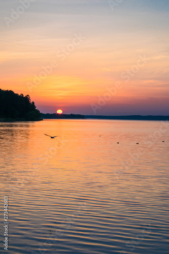 Sunrises sunsets on a summer pond in the forest