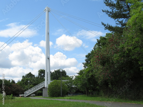 初夏の風の強い朝に、散歩道にある吊り橋