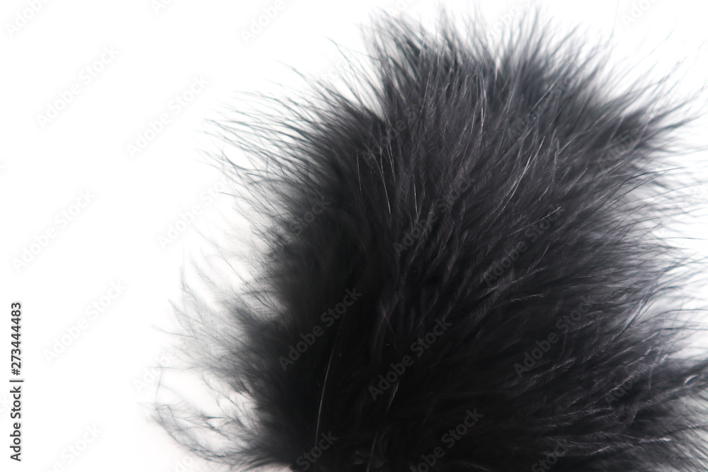 Beautiful abstract texture color red gray blue and black feathers on white isolated background and pattern wallpaper Beautiful abstract texture color red gray blue and black feathers on white isolated background and pattern wallpaper