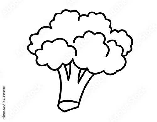 ブロッコリー 線画 Stock イラスト Adobe Stock