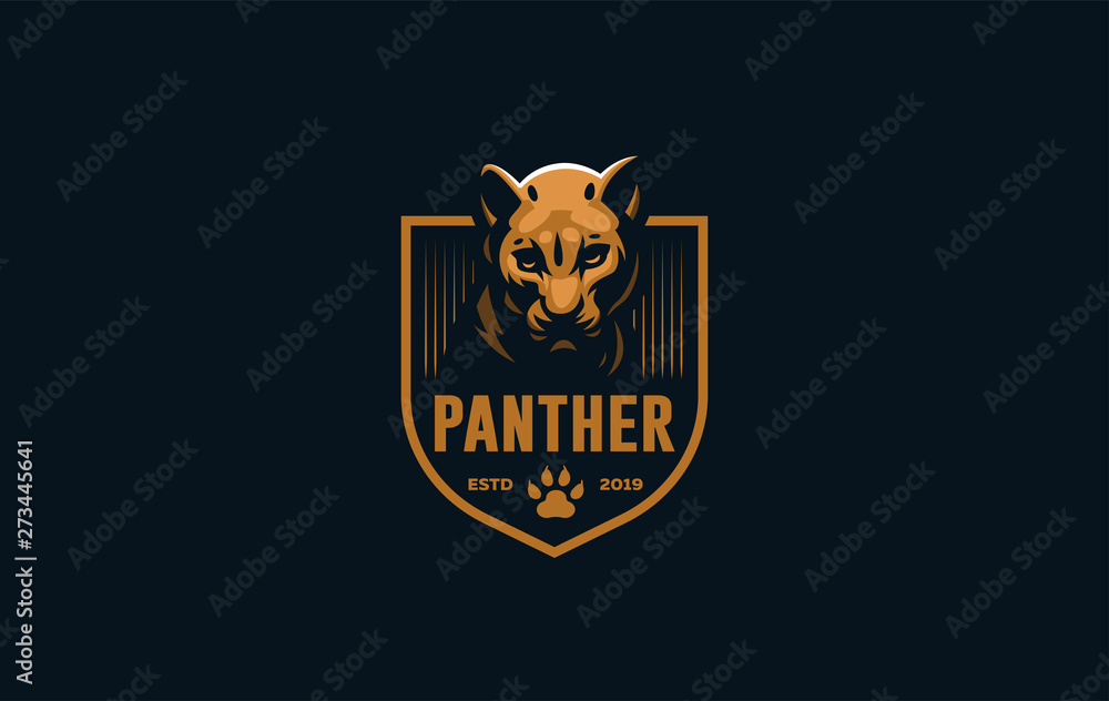 The image of a coguar or panter. The image of a coguar or panter.