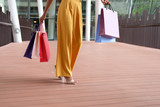 woman holding shopping bags. consumerism lifestyle in mall