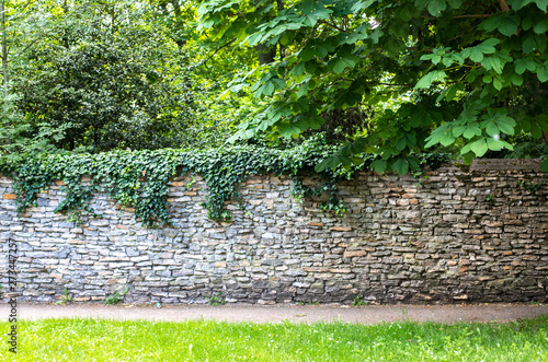 Stone wall covered with greenery. Green thickets behind the wall. The path along the wall among the abundant greenery. Stone fence in medieval style