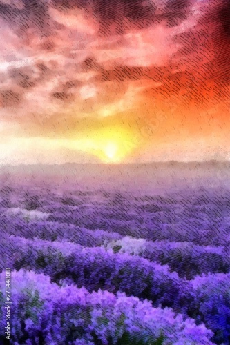Sunset over a violet lavender field watercolor painting wallpaper background