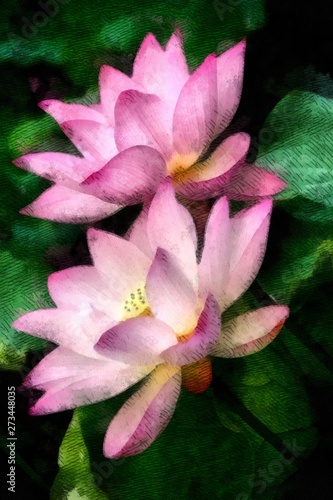 Lotus blooming flower in pond watercolor painting wallpaper background