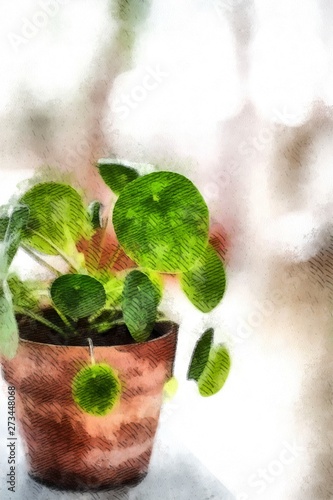 House green Plant potted isolated on blured background watercolor painting wallpaper